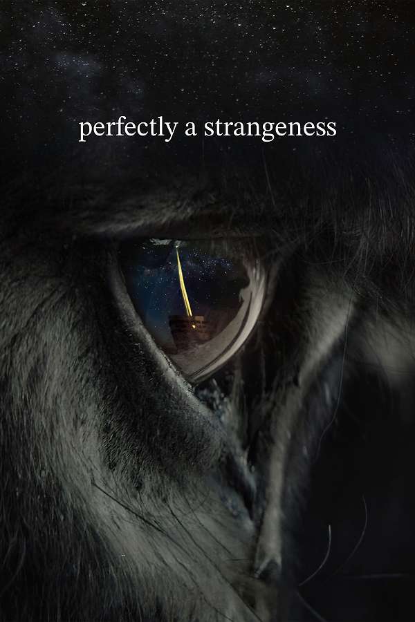 Poster: Perfectly a Strangeness